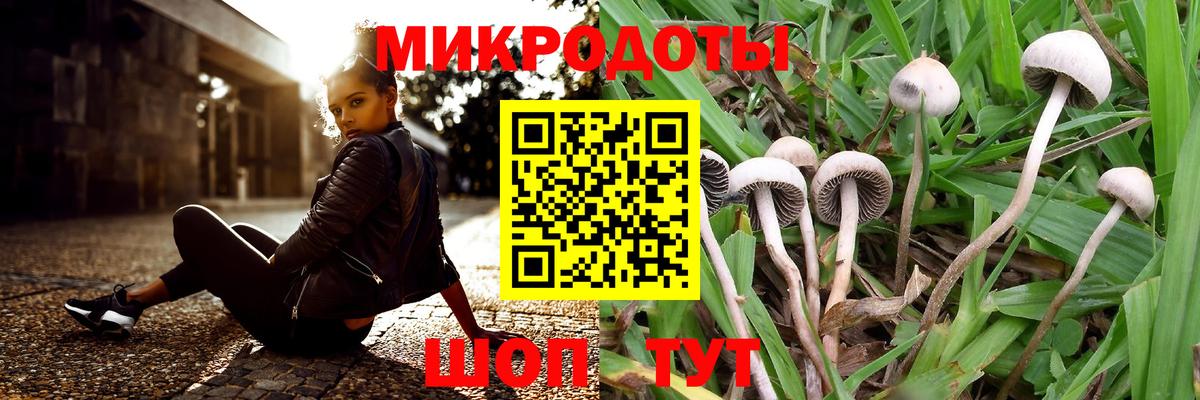 Подольск  Псилоцибиновые грибы Cubensis  Вход с VPN 
